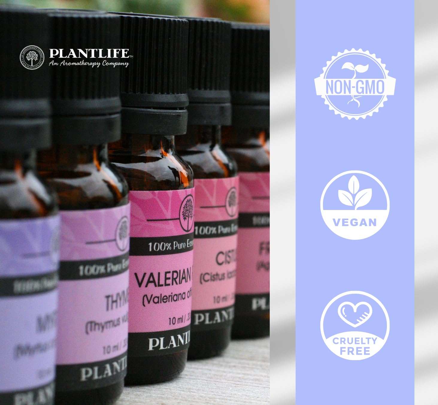 Plantlife Rosewood Aromatherapy Essential Oil - Straight from The Plant 100% Pure Therapeutic Grade - No Additives or Fillers -
