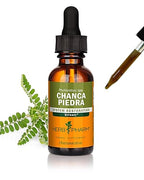 Herb Pharm Chanca Piedra Liquid Extract for Urinary System Support, 1 Fl Oz