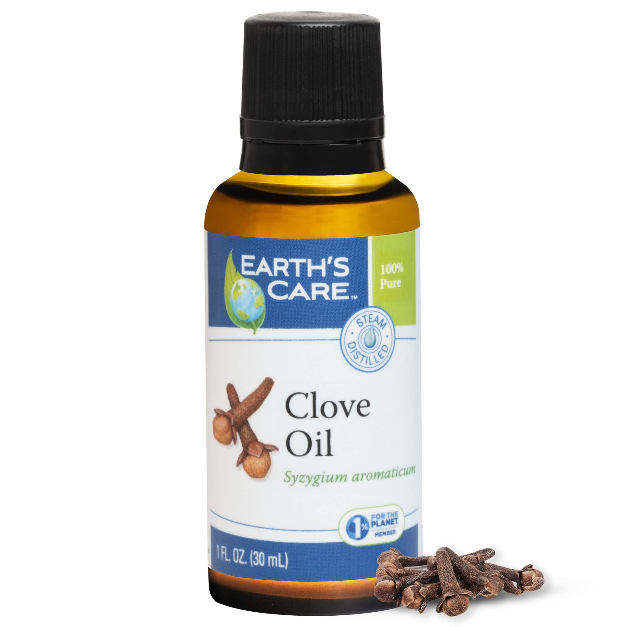 Earths Care Clove Oil - Essential Oil for Aromatherapy - 100% Pure Clove Oil - Steam Distilled - 1 Fl OZ