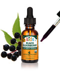 Herb Pharm Kids Certified-Organic Alcohol-Free Black Elderberry Glycerite Liquid Extract, 1 Ounce (GLKELD01)