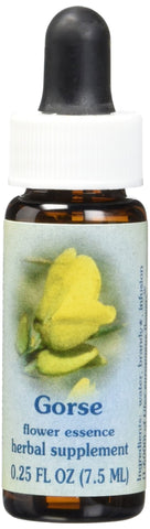 Flower Essence Services Gorse Dropper, 0.25 Ounce