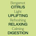Plant Therapy Organic Bergamot Essential Oil 10 mL (1/3 oz) 100% Pure, Undiluted, Therapeutic Grade