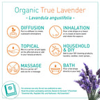 Puressentiel Organic True Lavender Essential Oil - Soothing and Calming Properties - Therapeutic Grade - for Aromatherapy and Ma