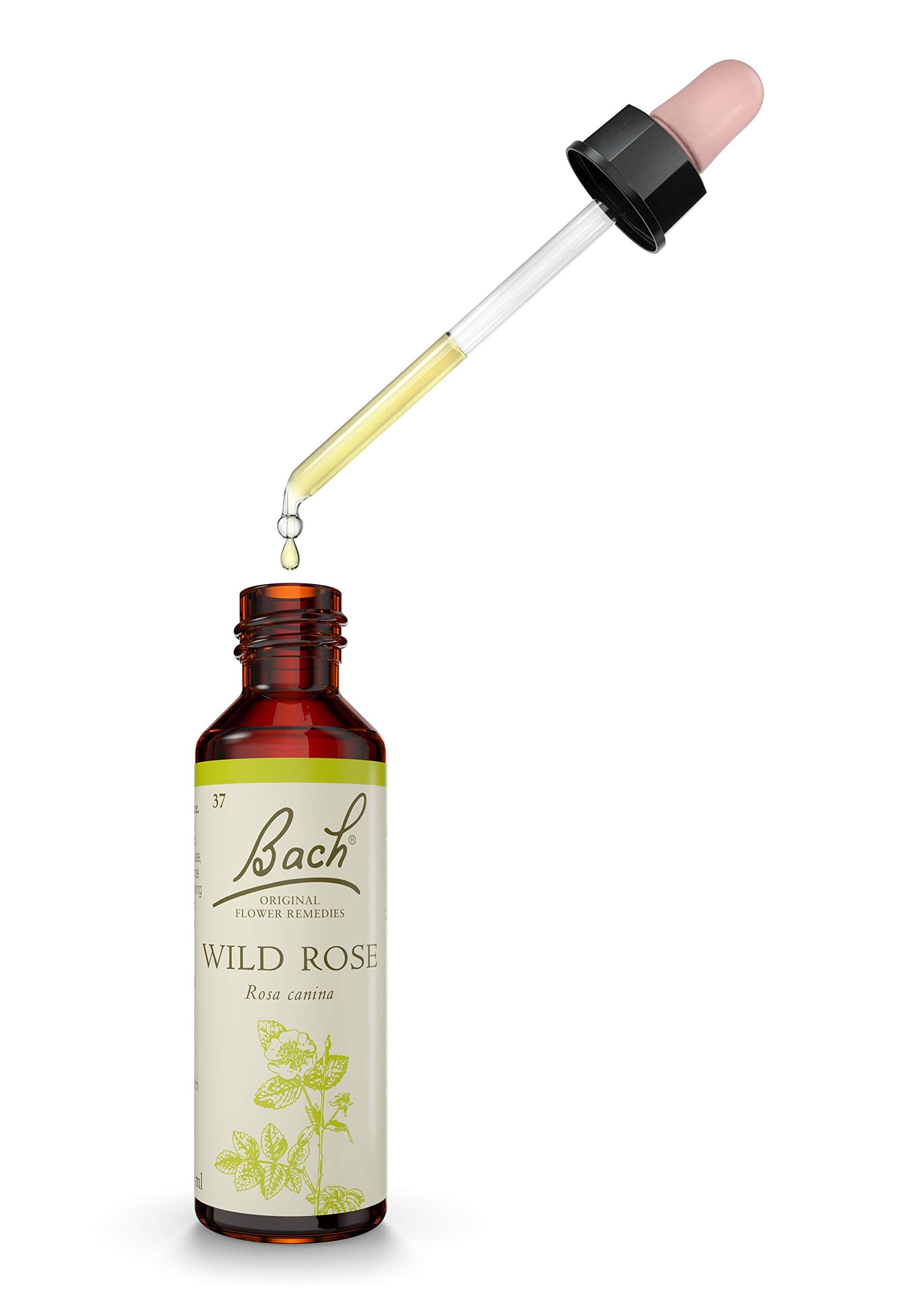 Bach Original Flower Remedy Wild Rose 20 ml