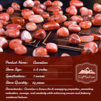 SigMntun Carnelian Healing Crystal Stone Set - 24 Pieces, 0.6 Natural & Polished Stones for Healing, Meditation, Reiki, Chakra,