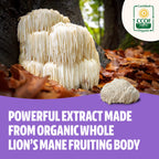 FreshCap Lions Mane Supplement Capsules - Ayurveda Premium USDA Organic Dual Extracted Mushrooms - Third Party Tested - Whole Fr