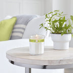 7.2OZ Lemon Soy Candle