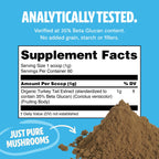 FreshCap Organic Turkey Tail Mushroom Extract Powder - Ayurveda USDA Organic -60 g- Supplement - Immune Protection - Add to Coff