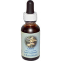 Olive Dropper 1 Ounces