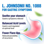 LABO Nutrition GASTRICELL - Acid Reflux, Heartburn, Recurring Gastric Discomfort, Natural Defence Against Gastric Distress 30 Ca