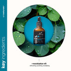 ArtNaturals 100% Pure Eucalyptus Essential Oil - (4.0 Fl Oz / 118ml) - Therapeutic Grade Natural Oils