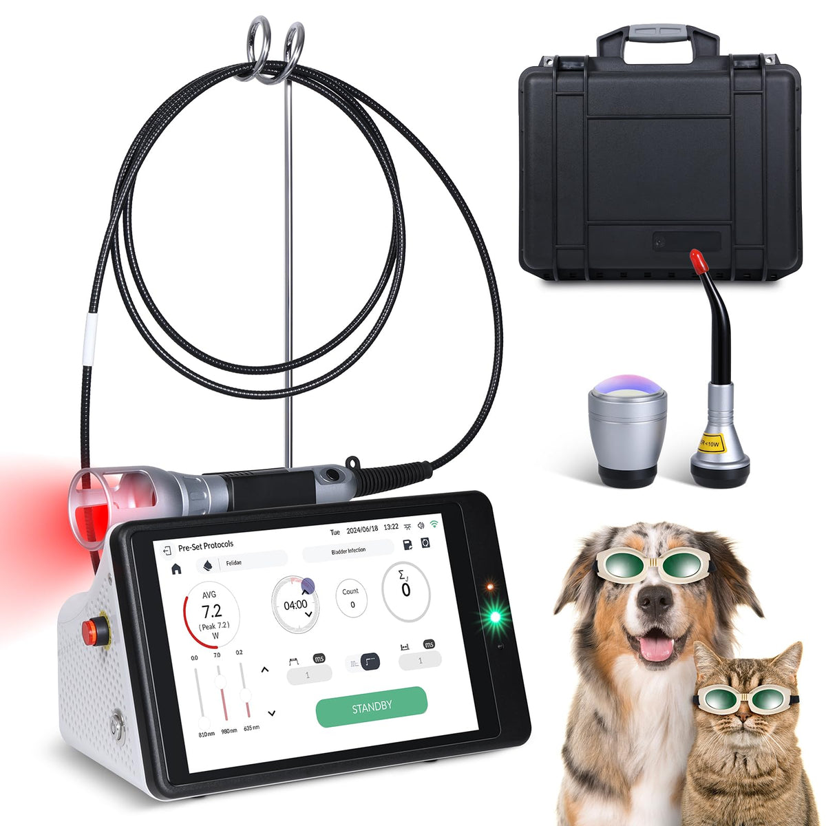 Cold Laser Therapy System with LCD Touch Screen, High Power Red Light Therapy Machine for Vet/Human, Near Infrared Light for Joi