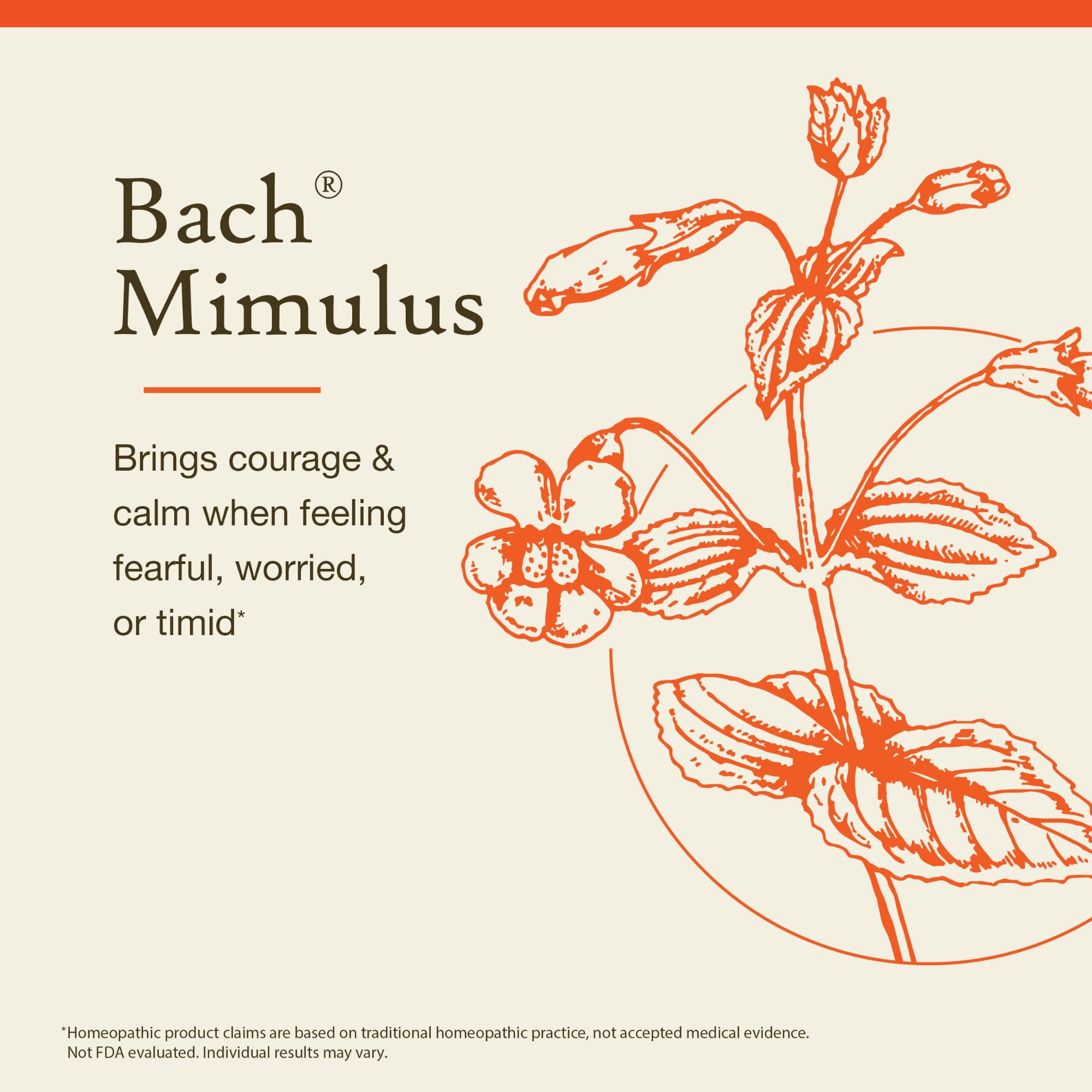 Bach Original Flower Remedies, Mimulus (Non-Alcohol Formula) - Face Your Fears - Natural Homeopathic Flower Essence for Emotiona