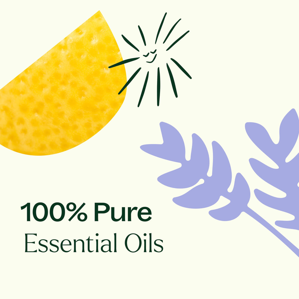 Plant Therapy Top 6 USDA Organic Essential Oil Set - Lavender, Peppermint, Eucalyptus, Lemon, Tea Tree 100% Pure, Natural Aromat