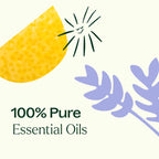 Plant Therapy Top 6 USDA Organic Essential Oil Set - Lavender, Peppermint, Eucalyptus, Lemon, Tea Tree 100% Pure, Natural Aromat
