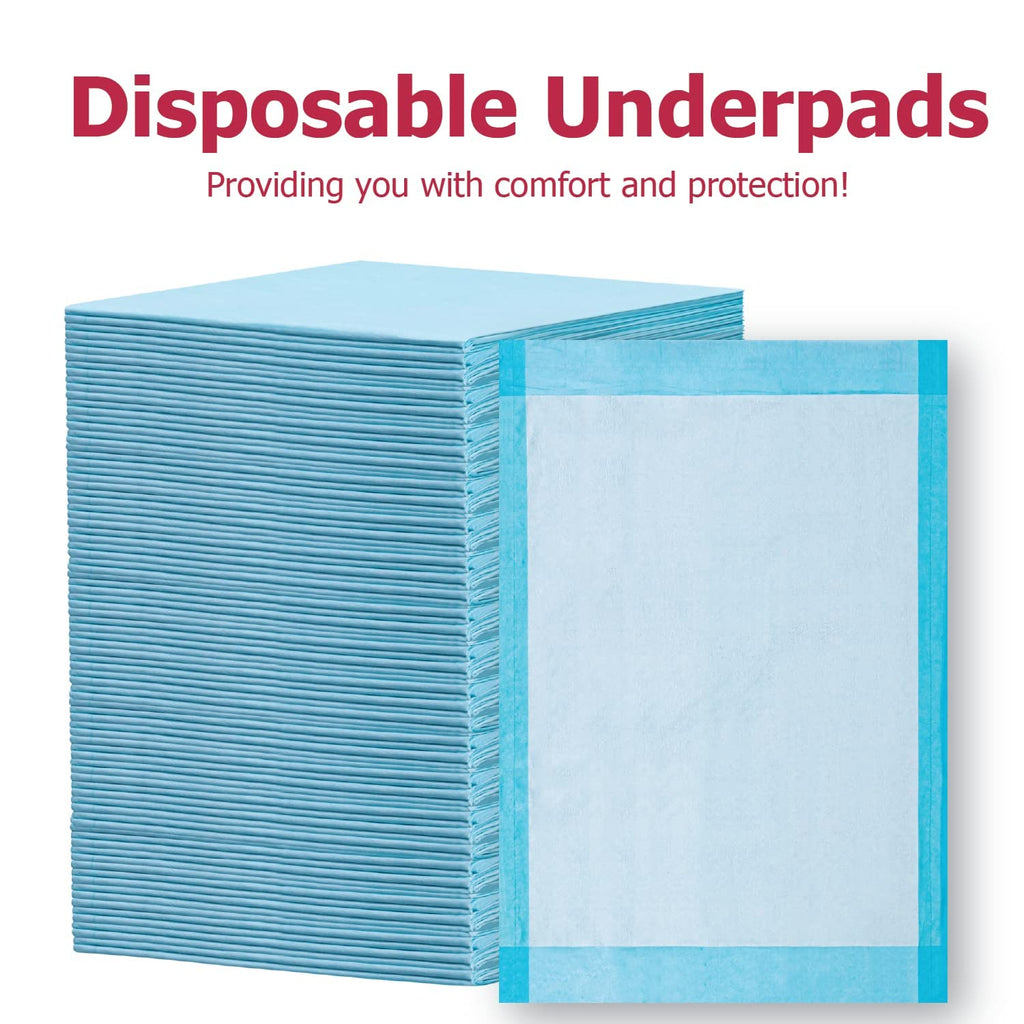 Dealmed (100 Count) Economy Absorbency Disposable Underpads 2-Ply Tissue Fill, 17 X 24    Blue, Perfect as Pet Pads Puppy Traini