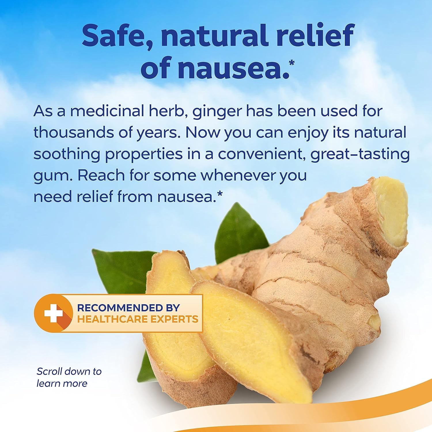 Anti-Nausea Ginger Gum 24 Count (Pack of 4)
