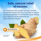 Sea-Band Anti-Nausea Ginger Gum 24 (2 Pack)