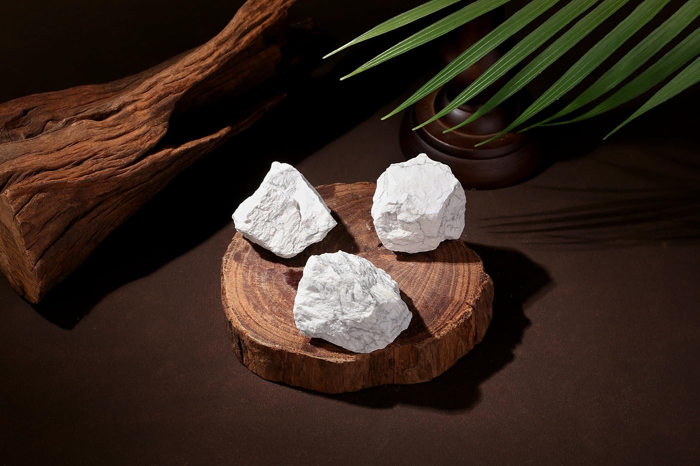 NUKAYAI 2Pcs Howlite 1.8-2.2 Large Raw Crystals Stones White Turquoise Rough Rocks Healing Crystal for Polishing Tumbling DIY Wr