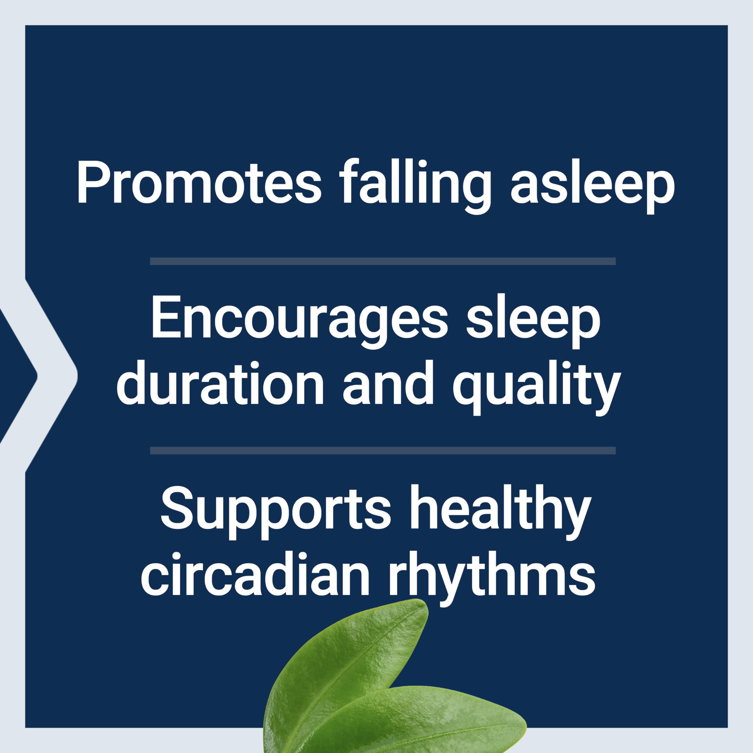 Life Extension Melatonin 6 Hour Timed Release, 3 mg, Extended-Release Formula for Optimal Sleep Support, Healthy circadian Rhyth