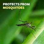 OFF!? FamilyCare Insect Repellent lll, Tropical Fresh, 6 fl oz