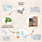 AKARZ Artemisia Leaf Essential Oil Natural Organic Pure Artemisia Leaf Oil for Skin Body Hair Care, Candle,Soap,Making, DIY,Mass