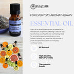 Plantlife Ylang Ylang Aromatherapy Essential Oil - Straight from The Plant 100% Pure Therapeutic Grade - No Additives or Fillers