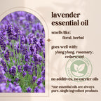 Avivni French Lavender Essential Oil - 100% Pure & Natural, Organic, Undiluted for Aromatherapy, Skin, Hair and Diffusers (0.33o