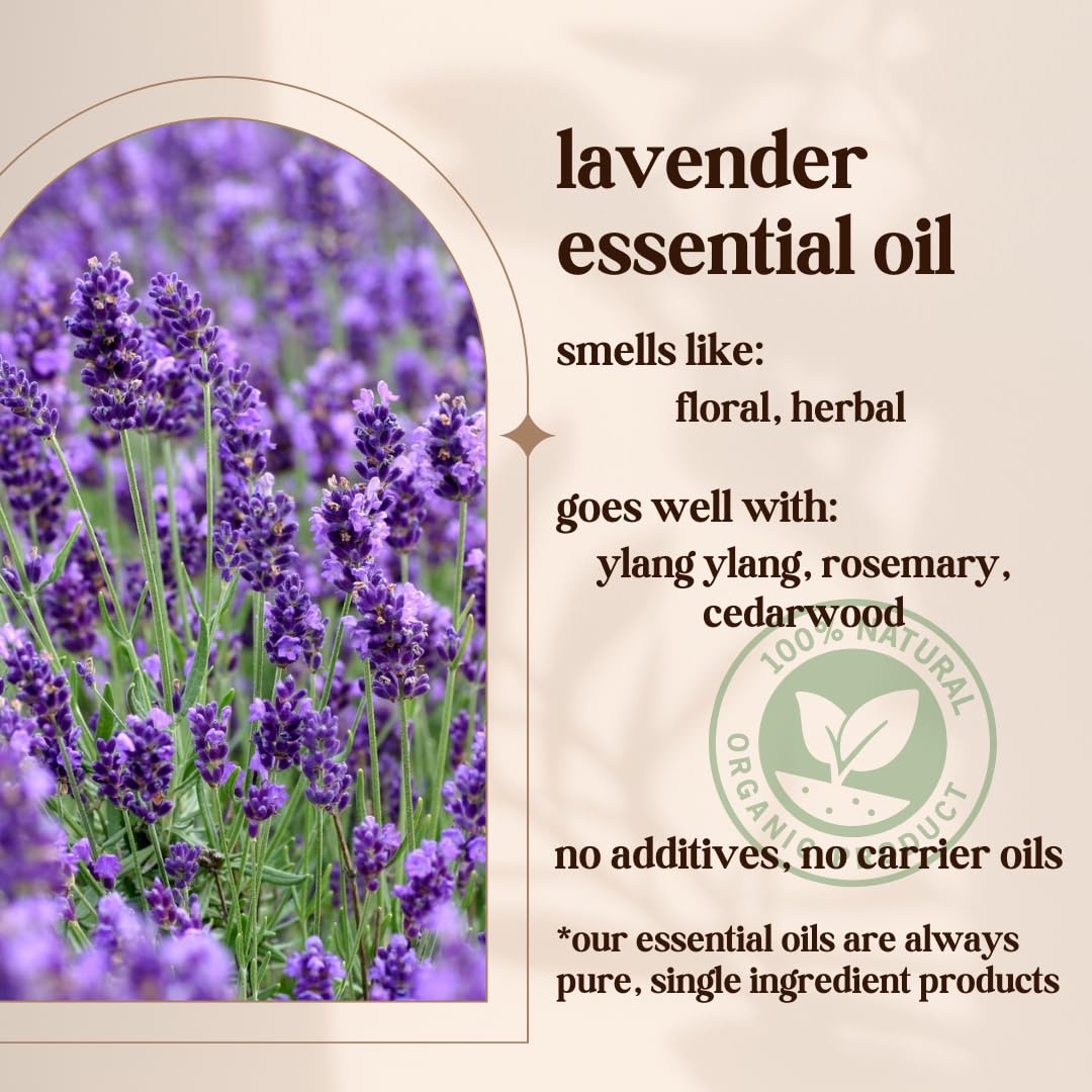 Avivni French Lavender Essential Oil - 100% Pure & Natural, Organic, Undiluted for Aromatherapy, Skin, Hair and Diffusers (0.33o
