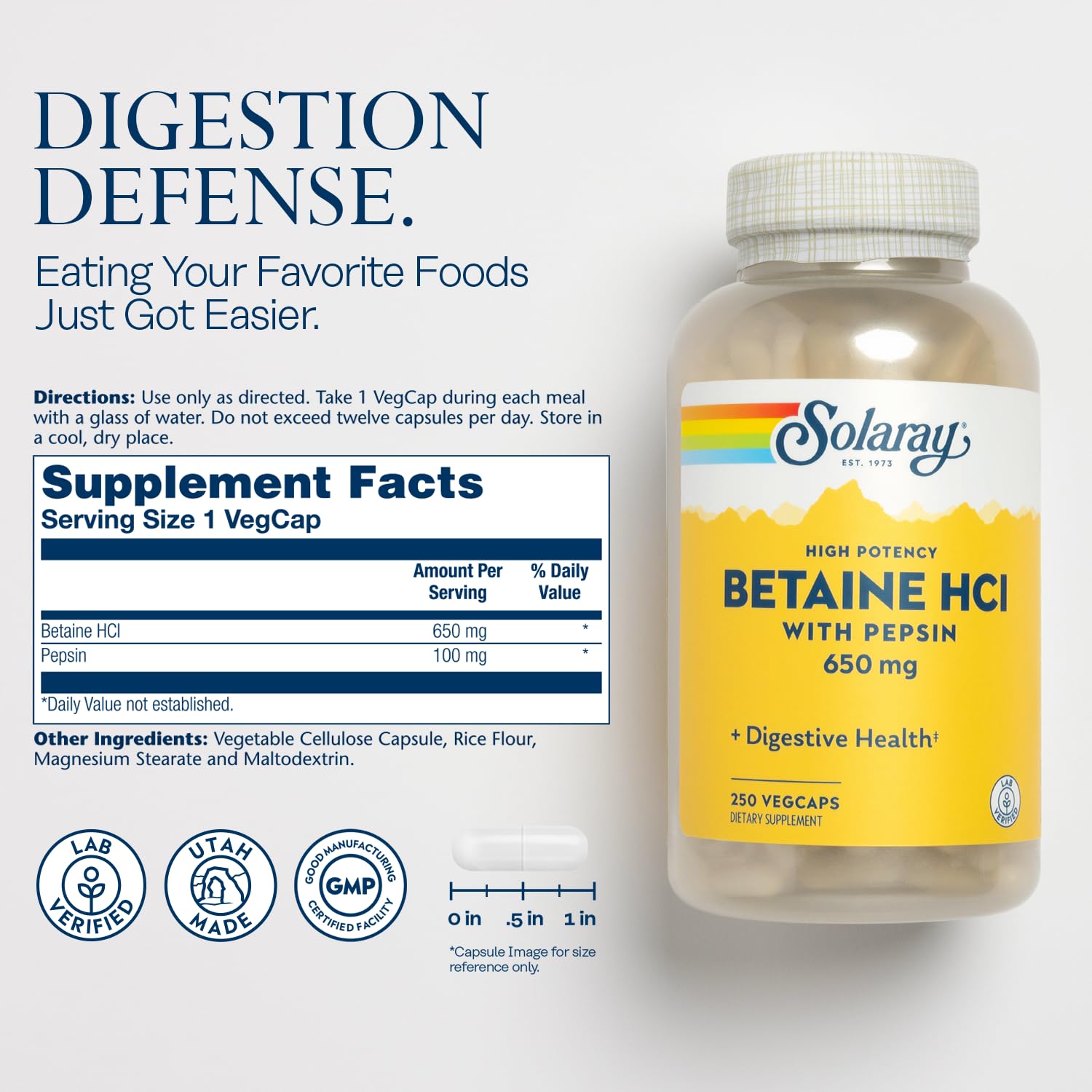 Solaray High Potency Betaine HCL with Pepsin - Hydrochloric Acid Supplement for Digestive Health - with Betaine Hydrochloride an