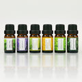 Earnest Living Tea Tree, Peppermint, Lavender, and Eucalyptus Essential Oil Set for Home Diffusers
