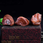 Wixine 1Pcs 100g Natural Rough Carnelian Raw Stone Crystal Red Agate Mozambique