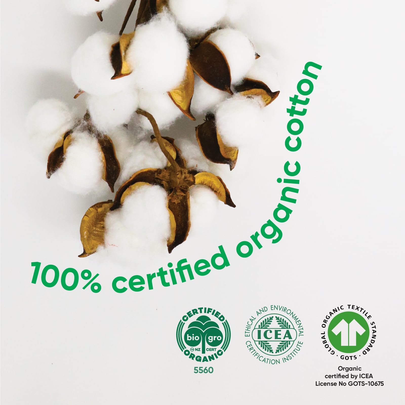 Oi | Organic Initiative - Ultra-Thin Pads with Wings | Super | 100% Certified Organic Cotton, Unscented | Leak Free, Biodegradab