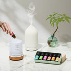 Essential Oils Set-Top 6 Organic Blends for Diffusers,Candle Making,Aromatherapy,Humidifiers,Gifts - Peppermint,TeaTree,Lavender