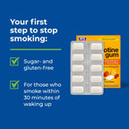 Rite Aid Nicotine Gum, 2mg, Fruit Flavor - 100 Pieces | Quit Smoking Aid | Nicotine Replacement Gum | Stop Smoking Aids That Wor
