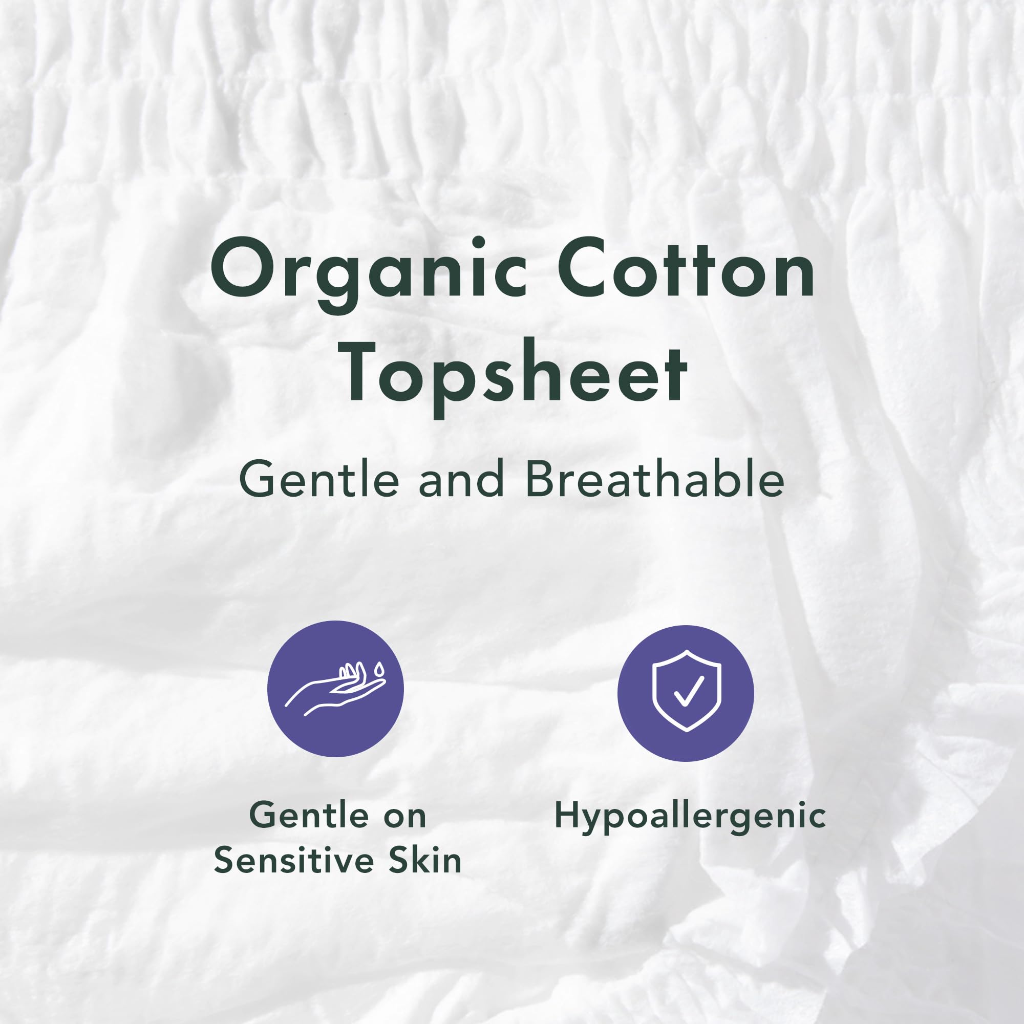 Rael Disposable Underwear for Women, Organic Cotton Cover - Postpartum Essentials, Leak Locker, Unscented, Maximum Coverage (Siz