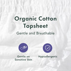 Rael Disposable Underwear for Women, Organic Cotton Cover - Incontinence Pads, Postpartum Essentials, Disposable Underwear, Unsc