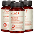 Jiva Equiline Tablets 500Mg | 100% Ayurvedic Formula By Doctors | Controls Hypertension & Anxiety | Helps With High Blood Pressu