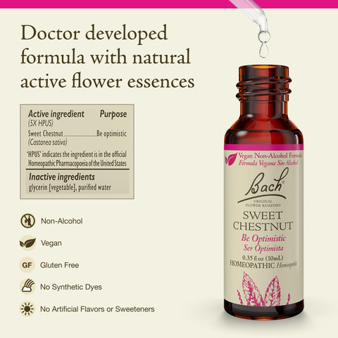 Bach Original Flower Remedies, Sweet Chestnut (Non-Alcohol Formula) - Be Optimistic - Natural Homeopathic Flower Essence for Emo