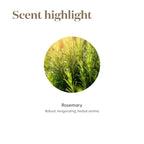 Rosemary Essential Oil 15ml by Young Living Essential Oils