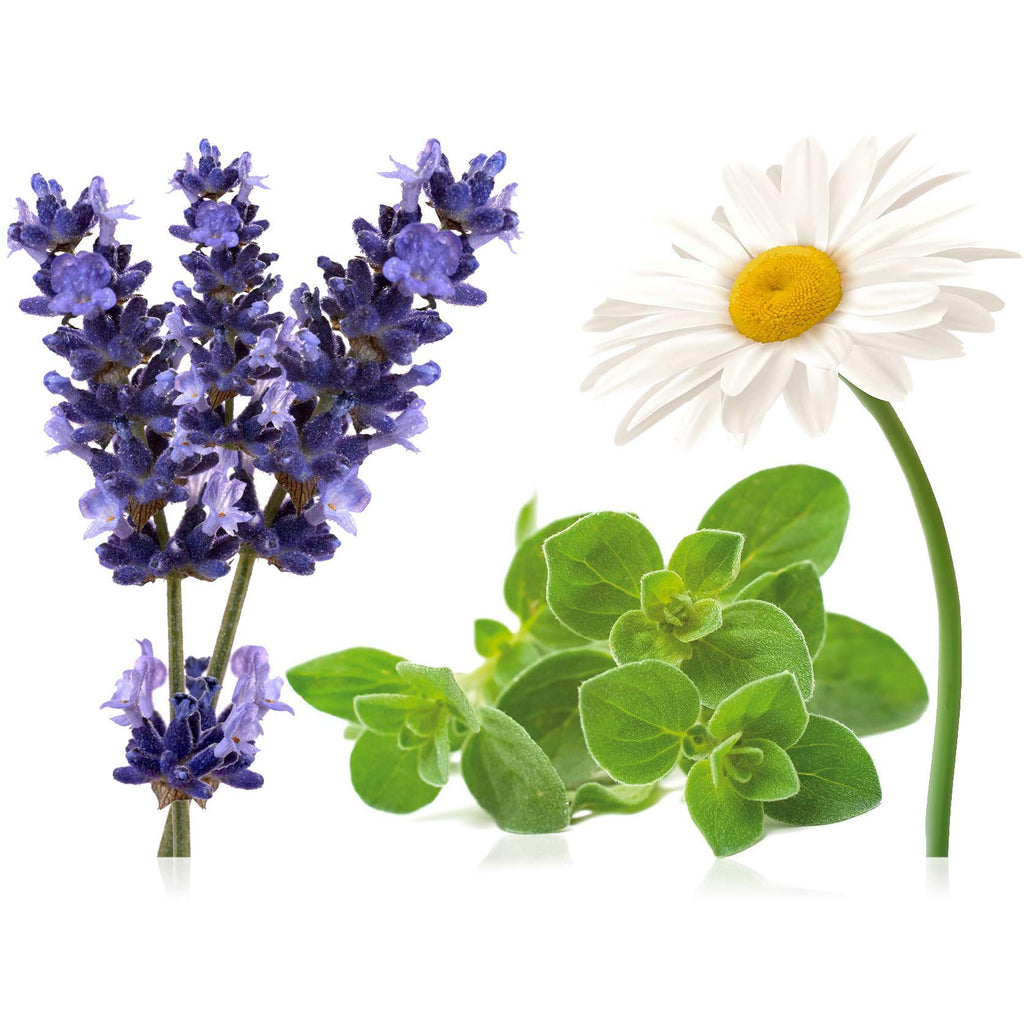 doTERRA Serenity Essential Oil Restful Blend 15 Milliliter (Pack of 2)