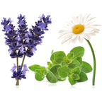 doTERRA Serenity Essential Oil Restful Blend 15 Milliliter (Pack of 2)