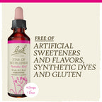 Bach Original Flower Remedies, Star of Bethlehem for Grief and Shock, Natural Homeopathic Flower Essence, Holistic Wellness, Veg