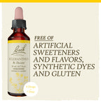 Bach Original Flower Remedies, Scleranthus for Decisiveness and Certainty, Natural Homeopathic Flower Essence, Holistic Wellness