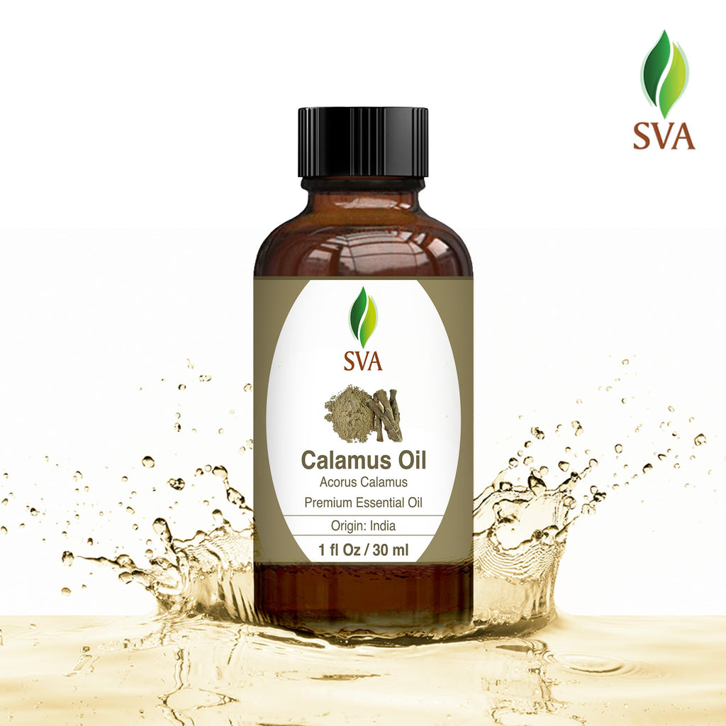 SVA Calamus Essential Oil - 1 Fl Oz - 100% Natural Calamus Oil - for Diffuser, Hair Care, Face, Skin Care, Aromatherapy, Scalp a
