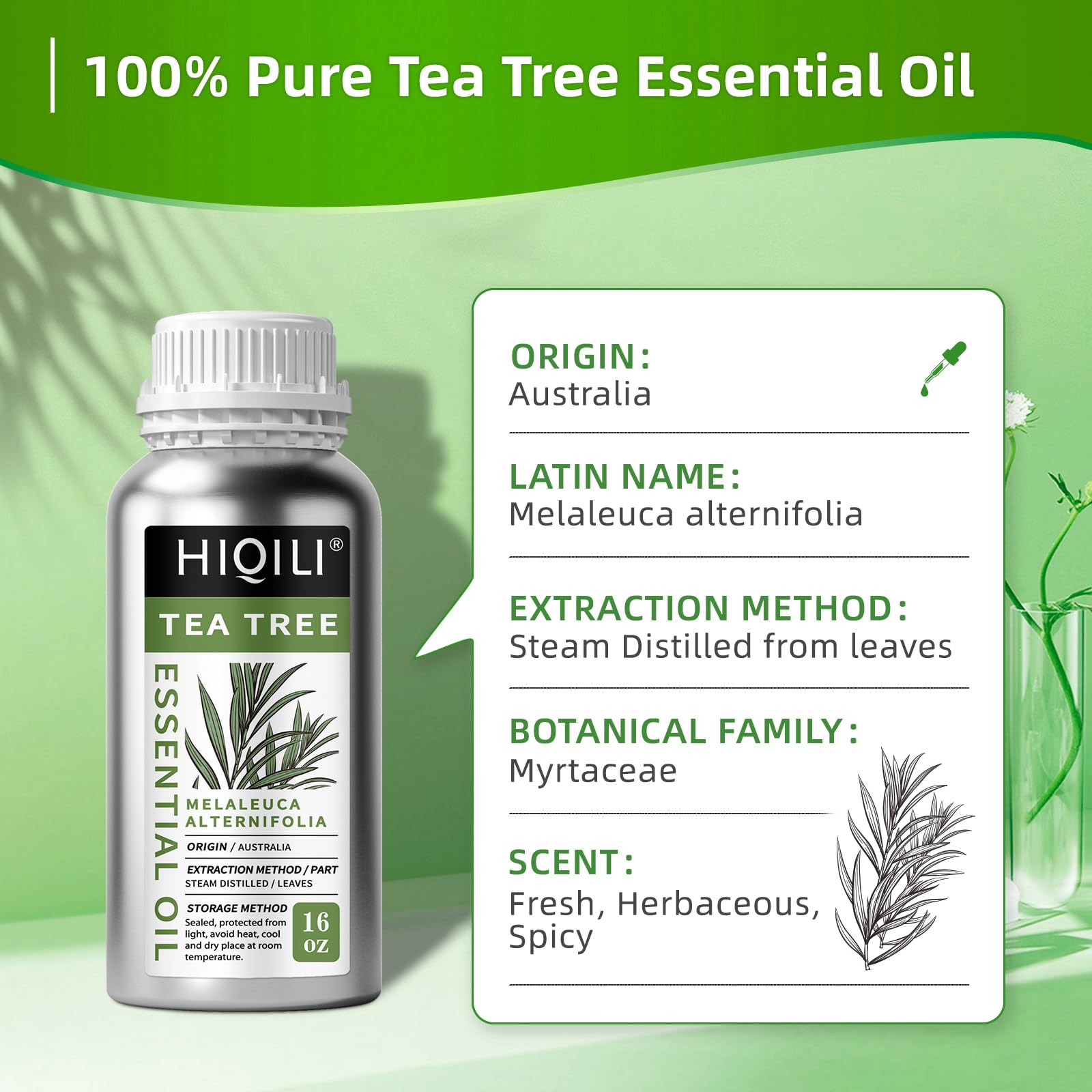 HIQILI 16 Fl Oz Tea Tree Oil, Tea Tree Essential Oil for Hair, Toenail