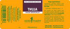 Thuja