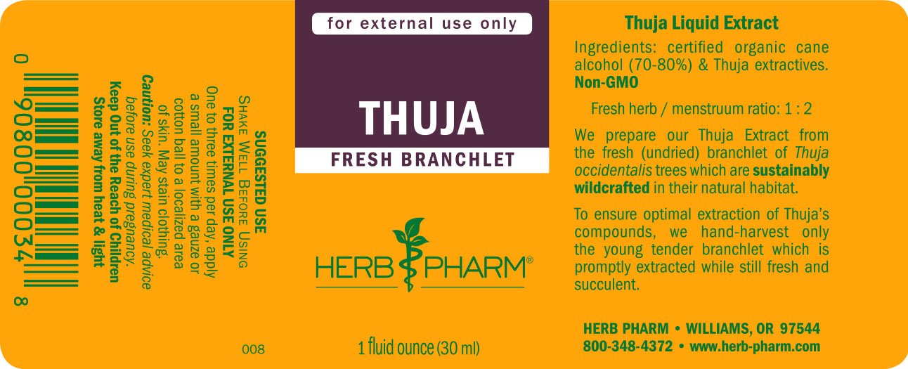 Thuja