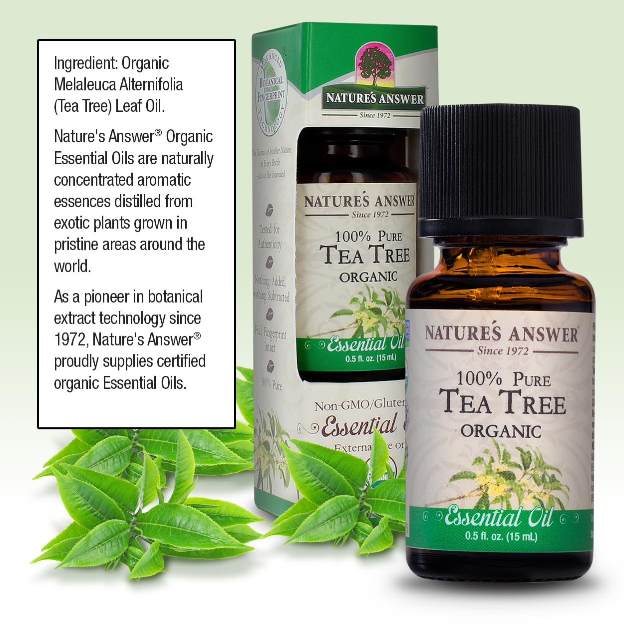 Natures Answer USDA Organic Tea Tree Essential Oil, 100% Pure | Natural Aromatherapy Oil for Diffuser/Humidifier, Steam Distille