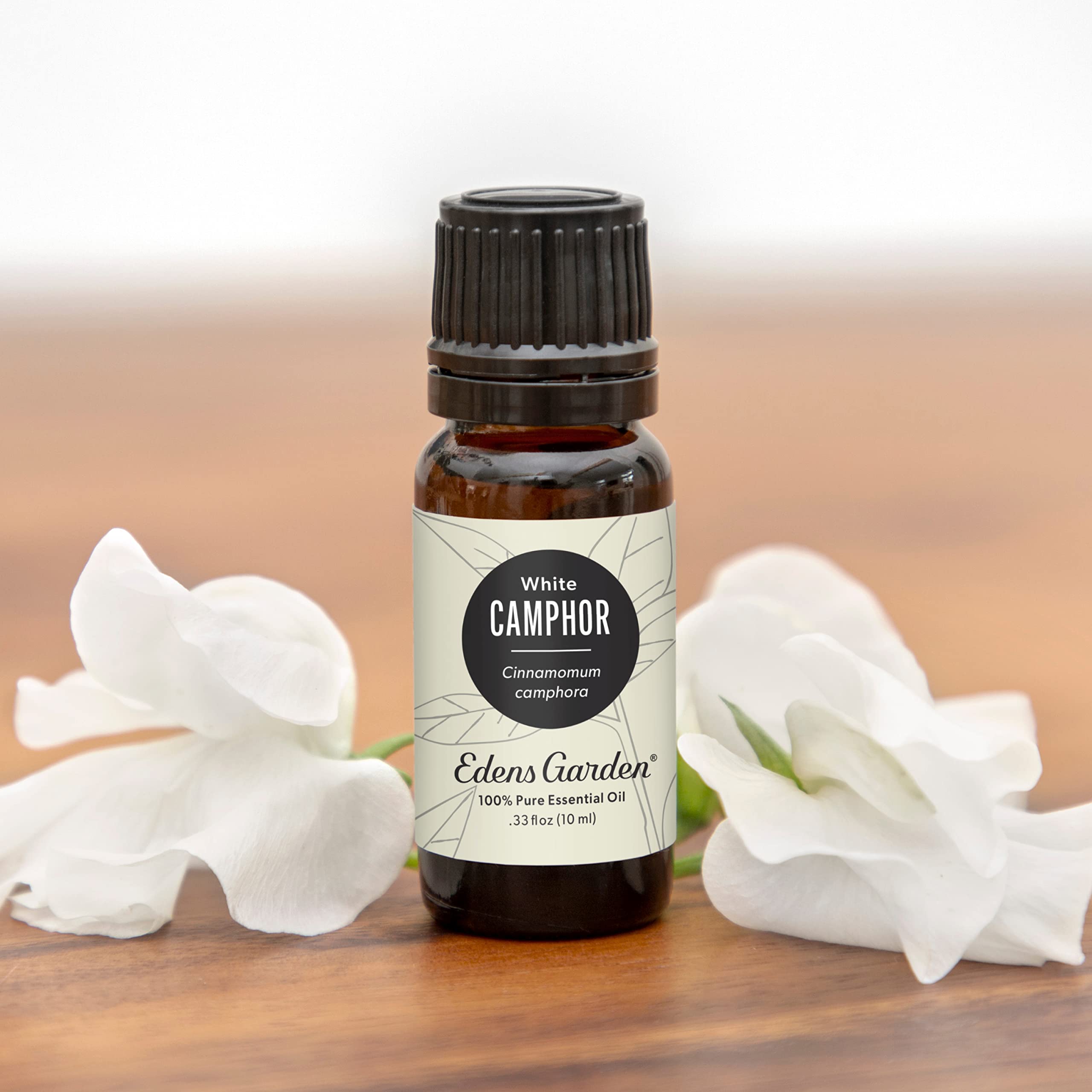Edens Garden Camphor- White Essential Oil, 100% Pure Therapeutic Grade (Undiluted Natural/Homeopathic Aromatherapy Scented Essen